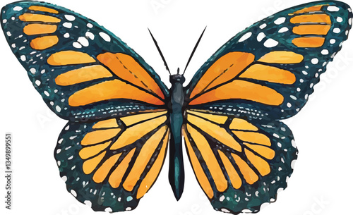 Colorful Butterfly Design