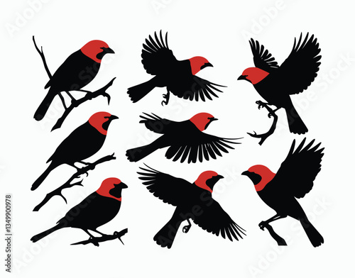EPS Vector Template of Red Scarlet Tanager Silhouette Design