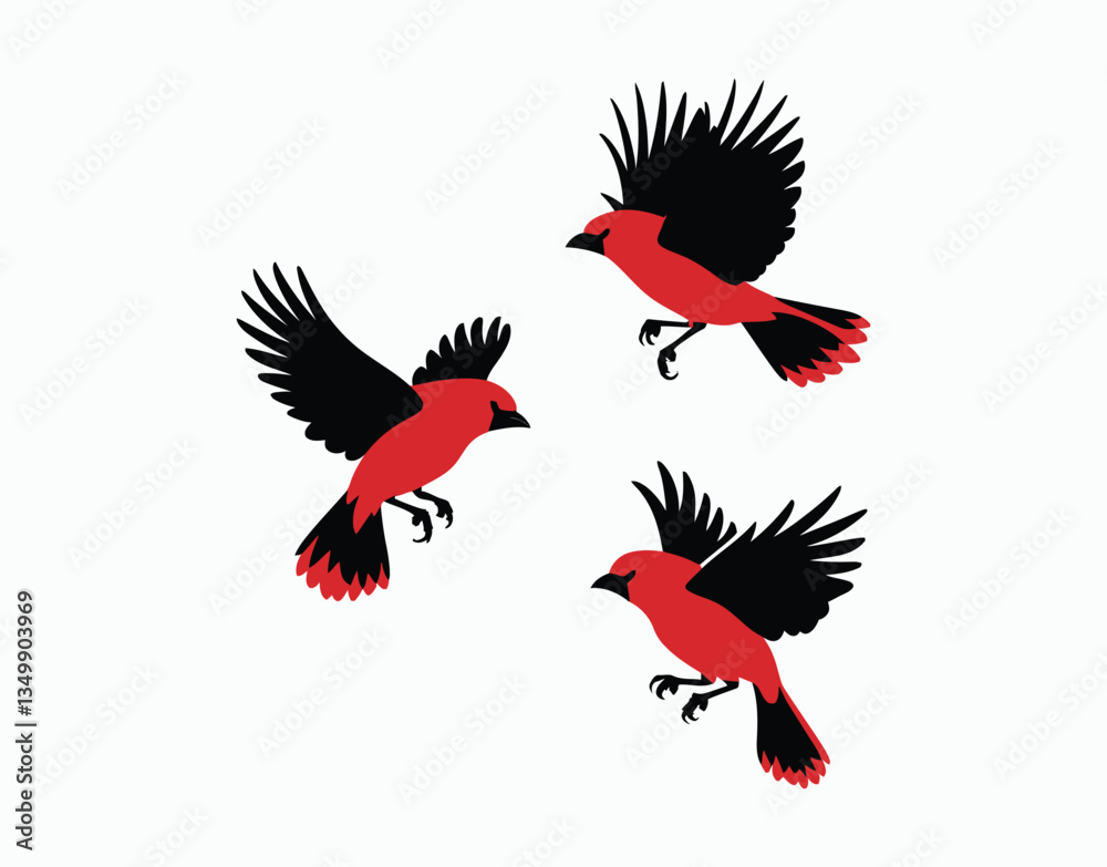 Fototapeta premium Scarlet Tanager Silhouette Isolated EPS Template