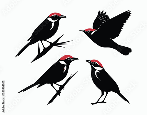 Abstract Red Billed Quelea Silhouette EPS Vector Template on White Background