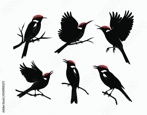 Classic Red Billed Quelea Silhouette EPS Vector Template