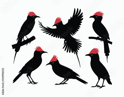 Elegant Red Billed Quelea Silhouette Collection Vector Illustration