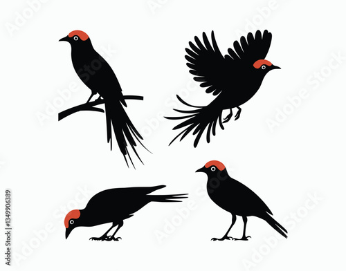 Elegant Red Billed Quelea Silhouette EPS Template