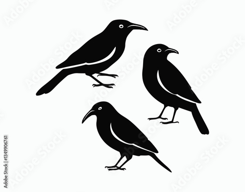 Elegant Red Billed Quelea Silhouettes Template