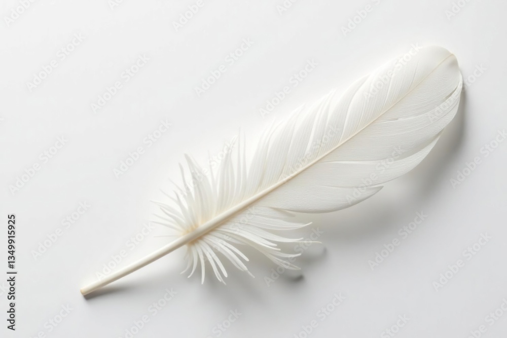Obraz premium Single pristine white feather against pure white backdrop, shot, texture, elegant