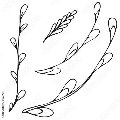 spring easter traditional fluffy pussy willow branches, beginning of spring, vector isolated design element, hand drawn doodle element, coloring book