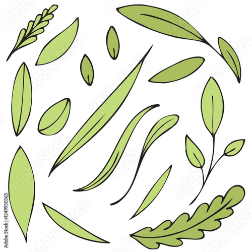 set spring grass and leaves of different shapes, vector color isolated design element, hand drawn doodle element, for kids