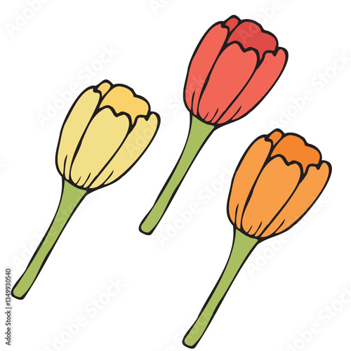 red, orange and yellow spring tulips, vector color isolated design element, hand drawn doodle element, for kids