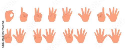 Vector illustration displaying a series of hand gestures representing the numbers 0 through 10. Each hand illustration is clearly defined to convey numerical values using fingers.