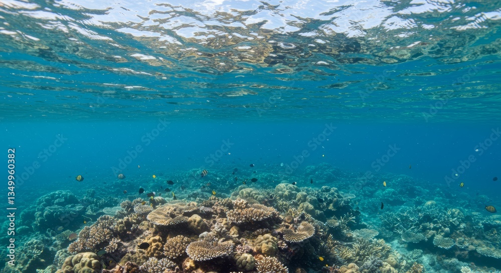 Fototapeta premium Idyllic underwater seascape featuring a vibrant coral reef ecosystem