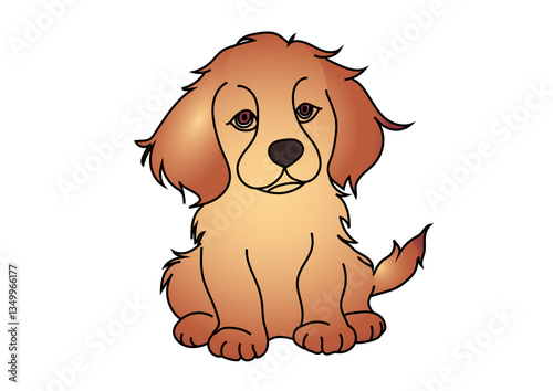 Puppy 