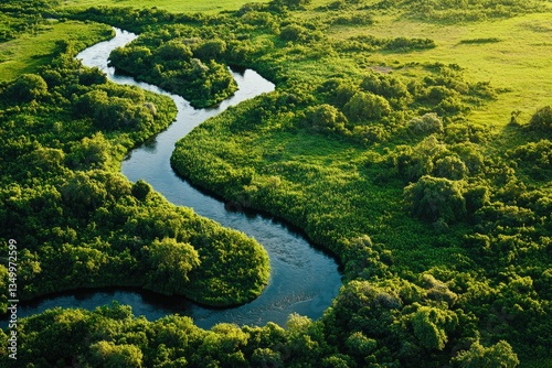 Serene river meandering through lush green forest photo