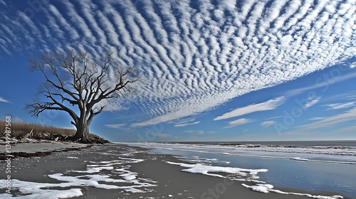 Lone tree on beach under dramatic sky.