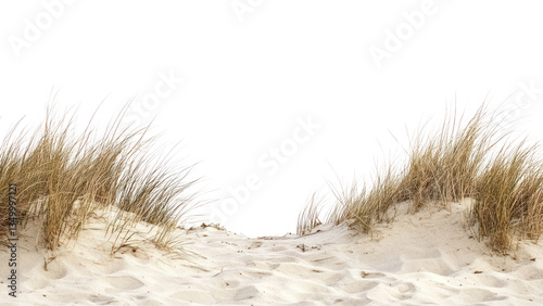 Fototapeta Naklejka Na Ścianę i Meble -  PNG Beach sand dune horizon nature grass.