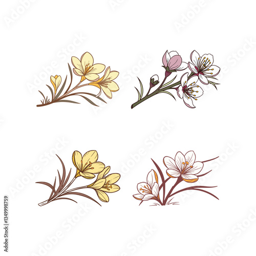 A set of saffron flower lineart color vector