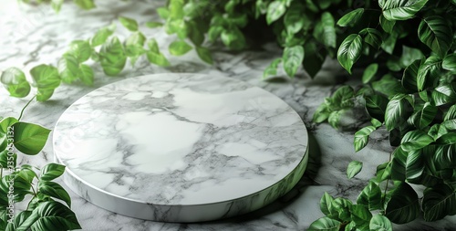 Natural Marble Surface With Green Foliage in Sunlight, Ideal for Display, Dec...
