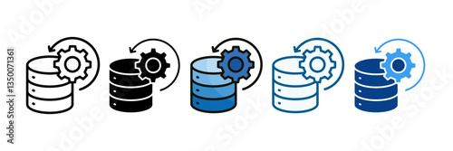 Disaster Recovery  Icon Set Multiple Style Collection