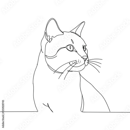 Cat outline sketch profile in minimalist style on white background  