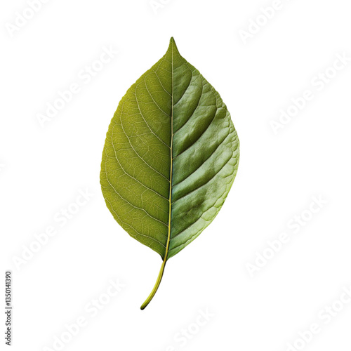 A single green leaf stands tall vibrant and alive against a colorful striped background nature's beauty showcased