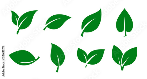 Leaf icons suitable for organic and ecological concepts. Presented on a white background.