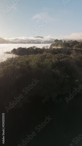 Flying over trees on the edge of a lake in the mountains.