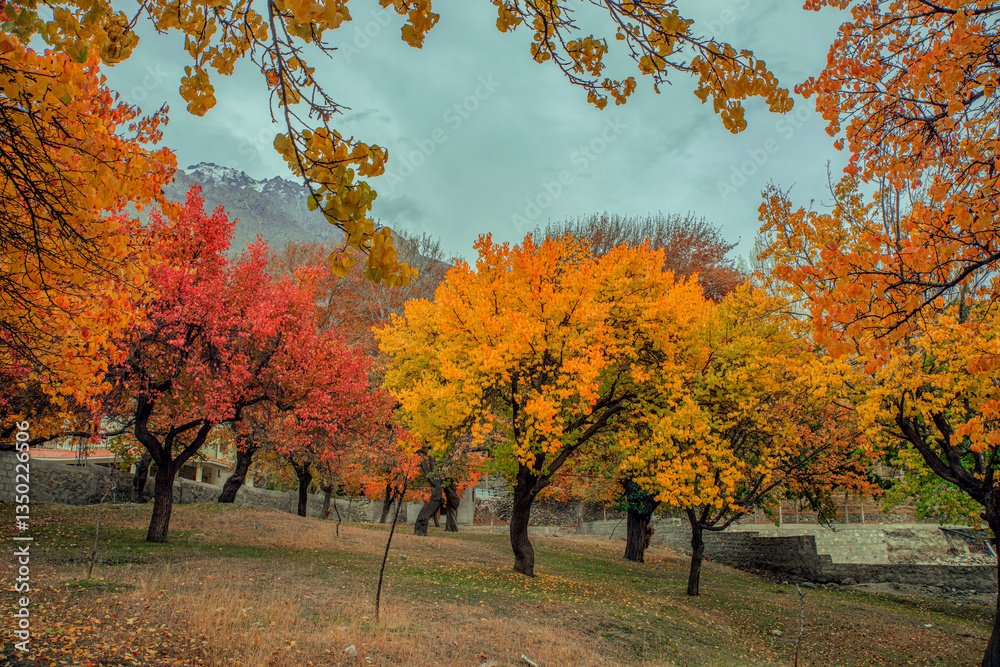 Fototapeta premium Rolling grassy terrain with fallen leaves; mountains in the background