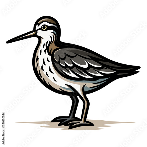 a detailed illustration of a sandpiper, showcasing its unique features and poised stance