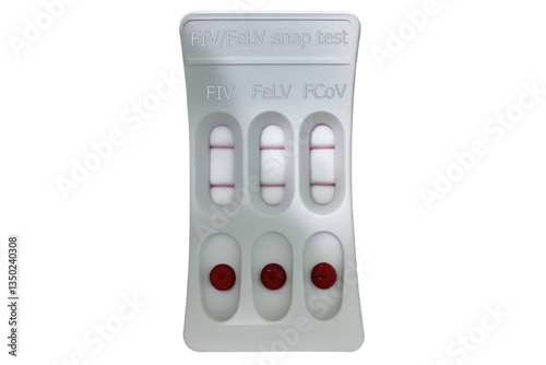 Obraz na płótnie SNAP FIV,FeLV and FCoV combo test showing positive results for feline immunodeficiency virus, feline leukemia virus and feline coronavirus, isolated on white background w salonie