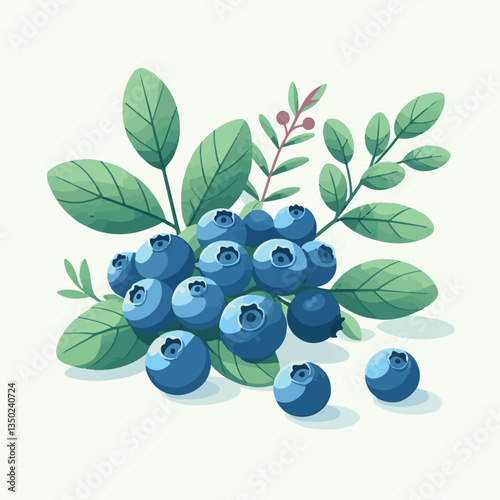 blueberry, bilberry, fresh, background, berry, food, blue, healthy, fruit, delicious, ripe, closeup, natural, white, dessert, leaves, organic, raw, sweet, vegetarian, berries, huckleberry, nutrition, 