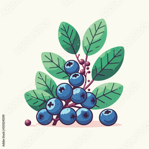 blueberry, bilberry, fresh, background, berry, food, blue, healthy, fruit, delicious, ripe, closeup, natural, white, dessert, leaves, organic, raw, sweet, vegetarian, berries, huckleberry, nutrition, 