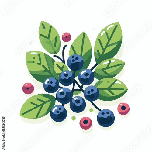 blueberry, bilberry, fresh, background, berry, food, blue, healthy, fruit, delicious, ripe, closeup, natural, white, dessert, leaves, organic, raw, sweet, vegetarian, berries, huckleberry, nutrition, 