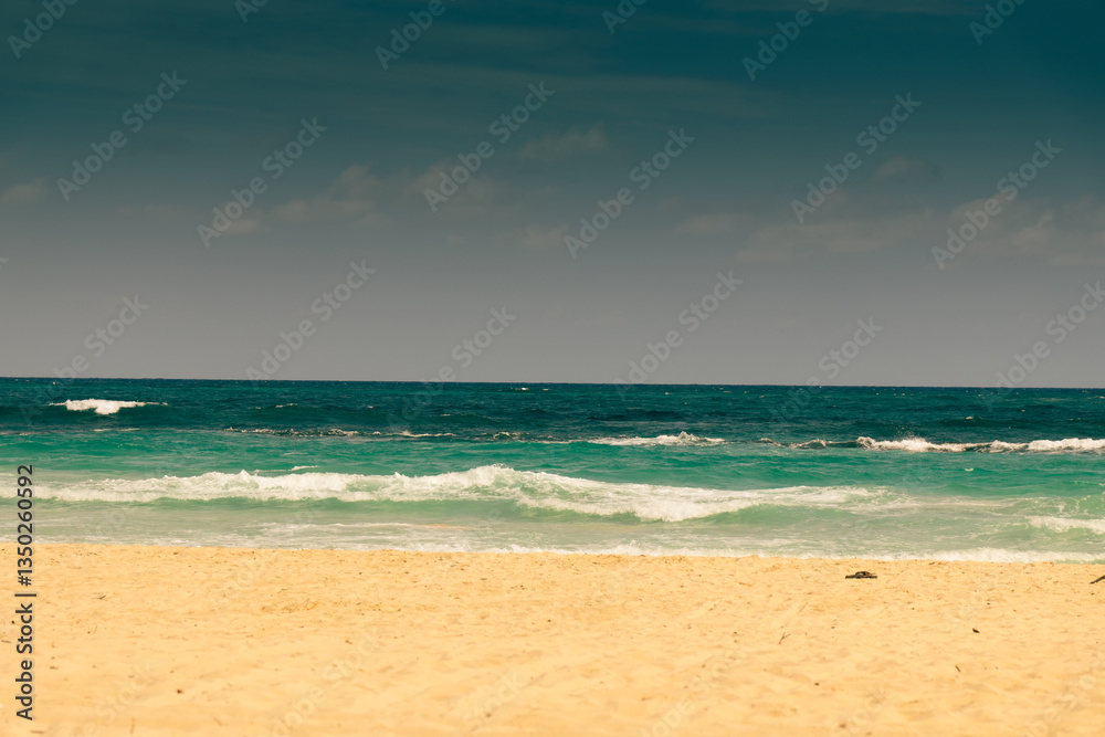 Fototapeta premium Ocean view