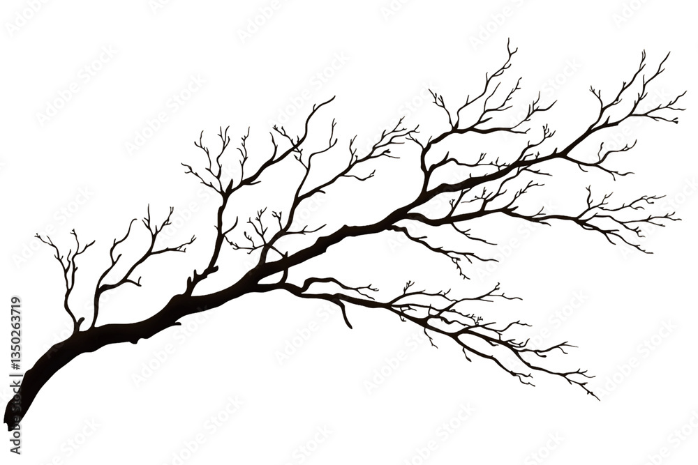 Fototapeta premium Colorful Lights on Bare Tree Branch Against Transparent Background, PNG