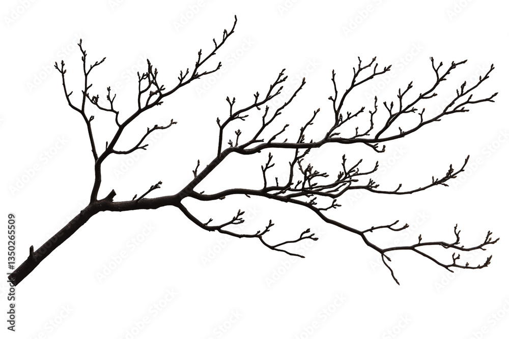 Obraz premium Dark Brown Bare Tree Branch with Tiny Colorful Lights on Transparent Background, PNG