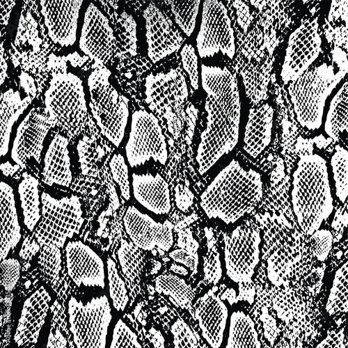 snakeskin texture background