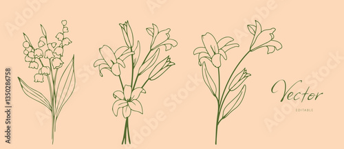 Lily and Lily of the Valley Flowers, a set of botanical hand drawn vector elements. Floral collection of flowers and roses. Minimal style blossom illustration for logo, wedding, invitation, decoration