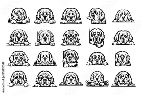 Peeking Newfoundland Dog Svg Bundle