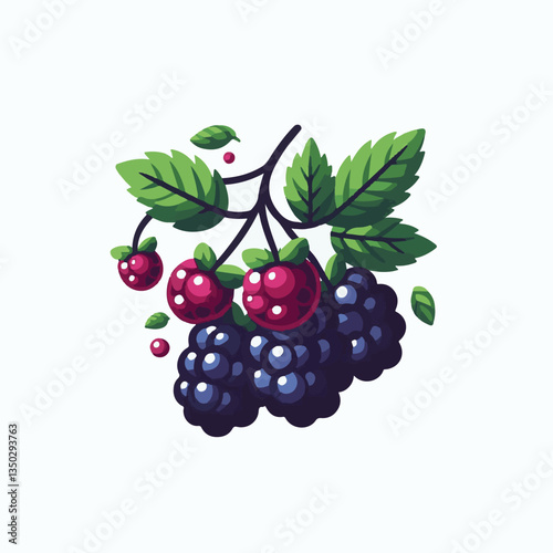 organic, berry, boysenberry, food, healthy, plant, blackberry, ripe, fresh, nature, natural, background, isolated, fruit, leaf, berries, sweet, juicy, illustration, branch, summer, ingredient, raspber