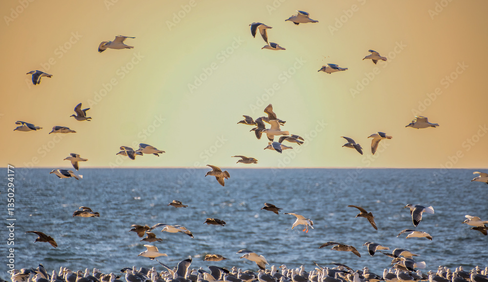 Large group of seagulls take off over the ocean with a dramatic sky background