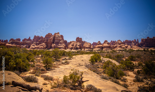 Red rocks of Canyonlands national park in Utah wilderness