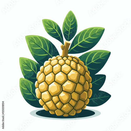 background, breadfruit, food, fresh, tropical, nature, leaf, fruit, plant, organic, healthy, green, vegetarian, natural, sweet, illustration, garden, exotic, white, summer, foliage, vitamin, freshness