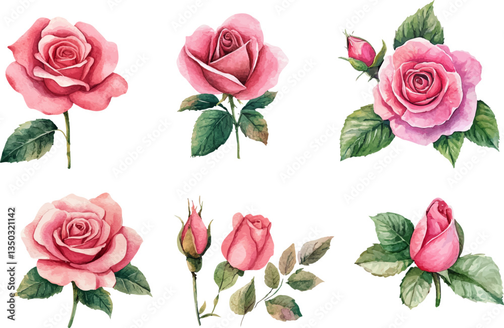 Naklejka premium set of roses vector illustration