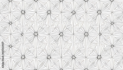 Structured Elegance: Black and White Patterns