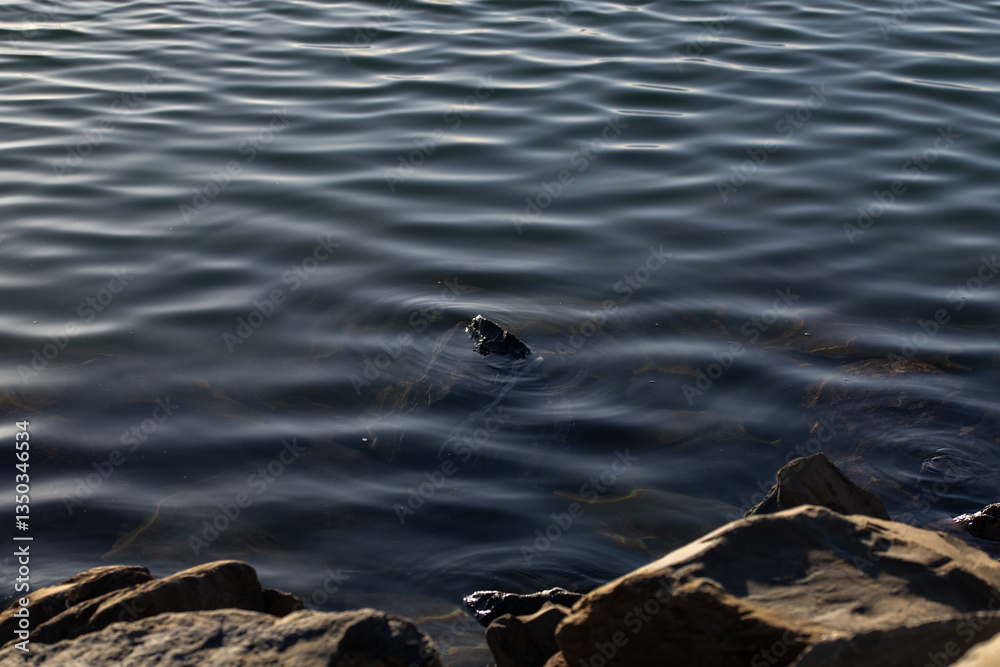 Partially submerged rock in moving water with smooth ripples Partially submerged rock in moving water with smooth ripples