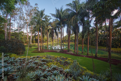 Obraz na płótnie Palm trees, the tropical forest at the shore of the lake, Inhotim, Minas Gerais, Brazil. w salonie