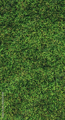 Close-up view of lush green grass texture