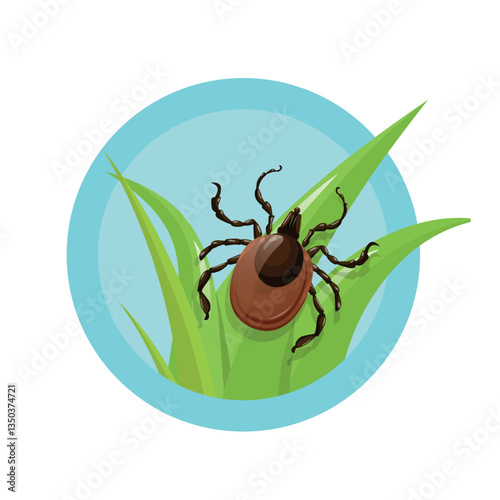Mite on a grass leaf vector illustration against white background. Tick insect hunting from tall grass.