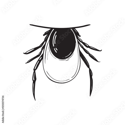 Lyme Tick suck the blood vector illustration against a white background. Hand Drawn Mite vector illustration