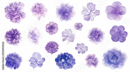 Purple flower collection, isolated on white background, perfect for design projects