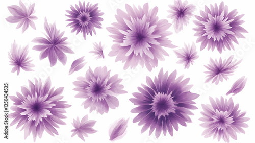 Purple flower petals and blossoms on white background, design element for invitation, card, or website